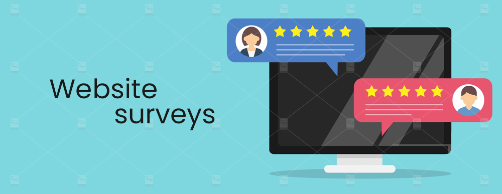 Website-surveys 