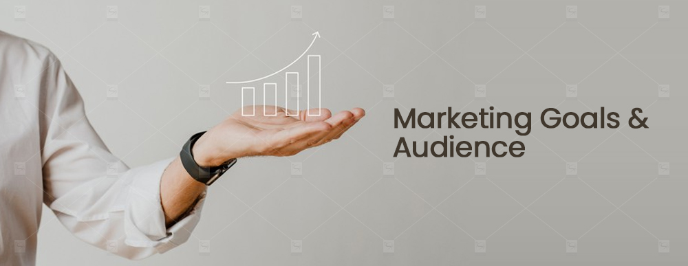 Marketing Goals and Audience